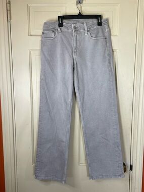 American Eagle Women's Jeans Size 2 Gray Stovepipe Stretch Straight 29” Denim